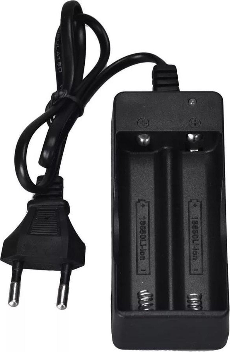 Dual 18650 Batterij oplader lader 220 Volt