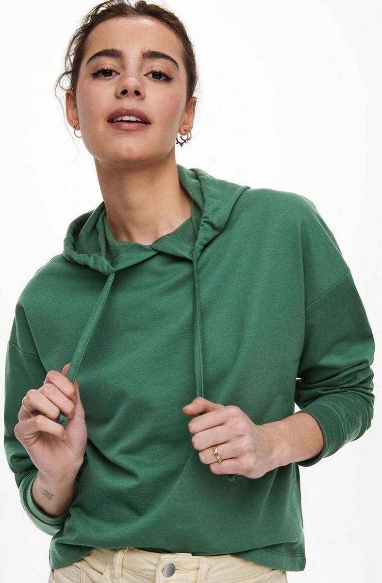 Onldreamer Life L/s Hood Swt Noos 15241103 Smoke Pine