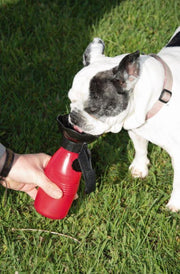 Starlyf Doggy Bottle Honden Waterfles