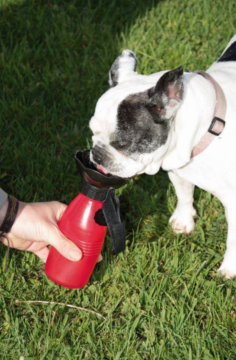 Starlyf Doggy Bottle Honden Waterfles