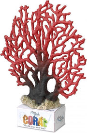 Auqa Della Coral module lace coral XL - 23