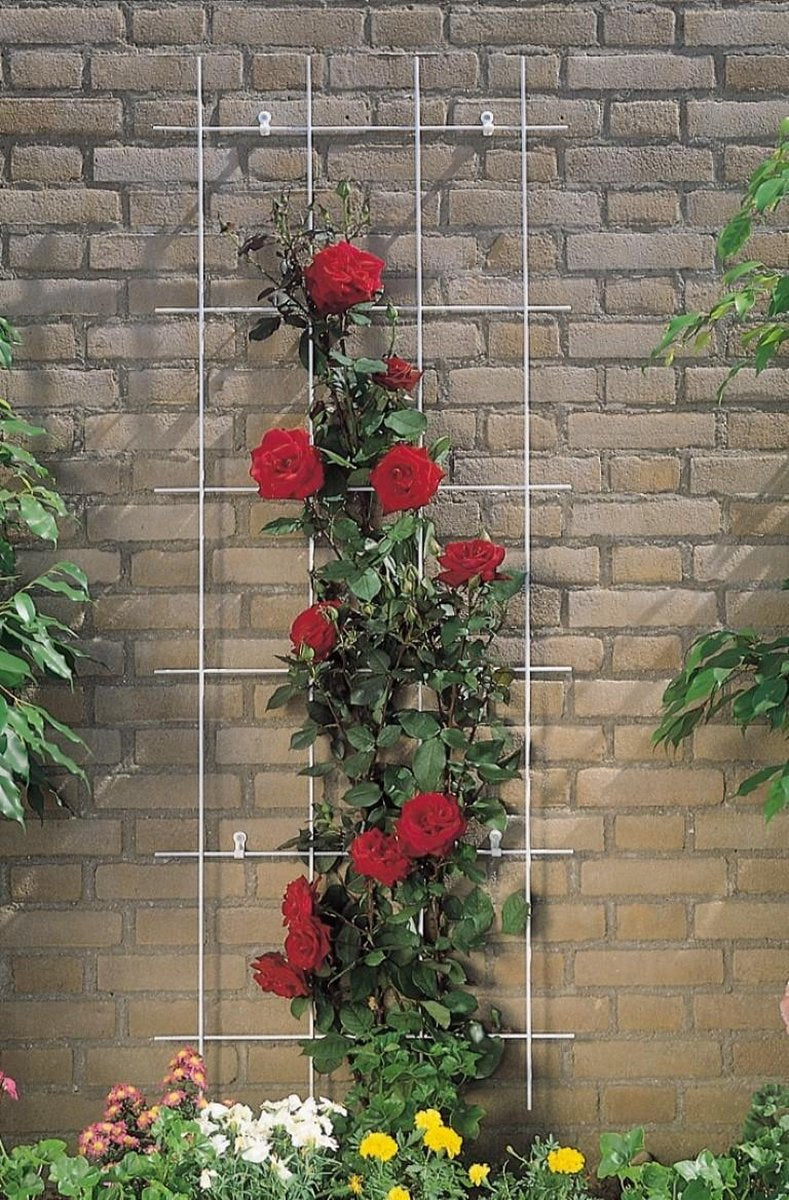 Metalen klimrek geplastificeerd grijs H150x60cm
