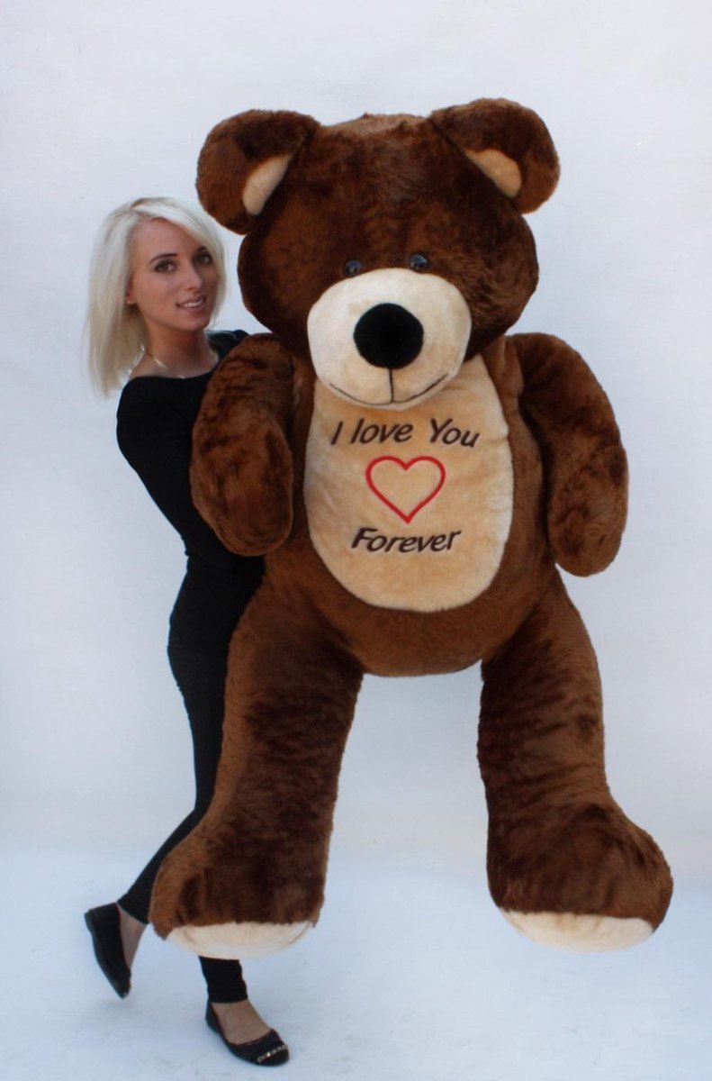 Grote teddebeer / knuffelbeer 155cm - I love you - Bruin