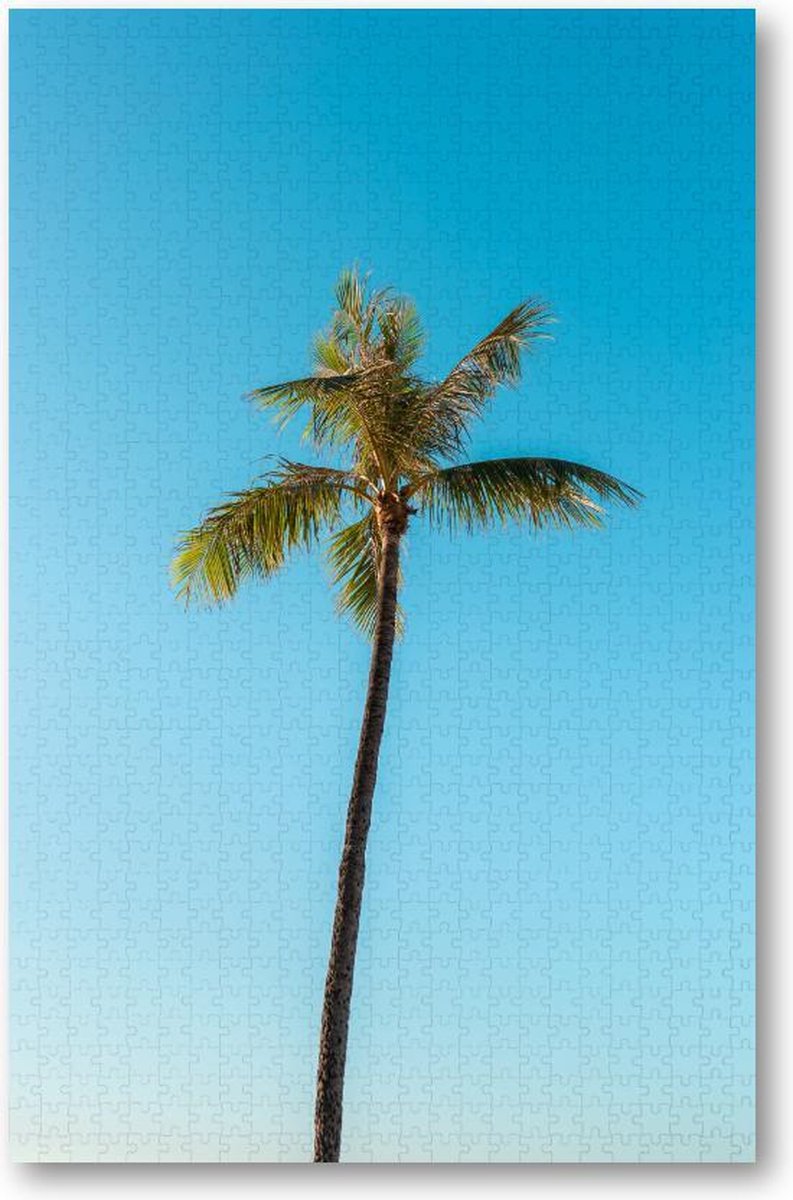 Low angle van een hoge palmboom onder een heldere hemel - 1000 Stukjes puzzel voor volwassenen - Minimalist - Landschap - Natuur