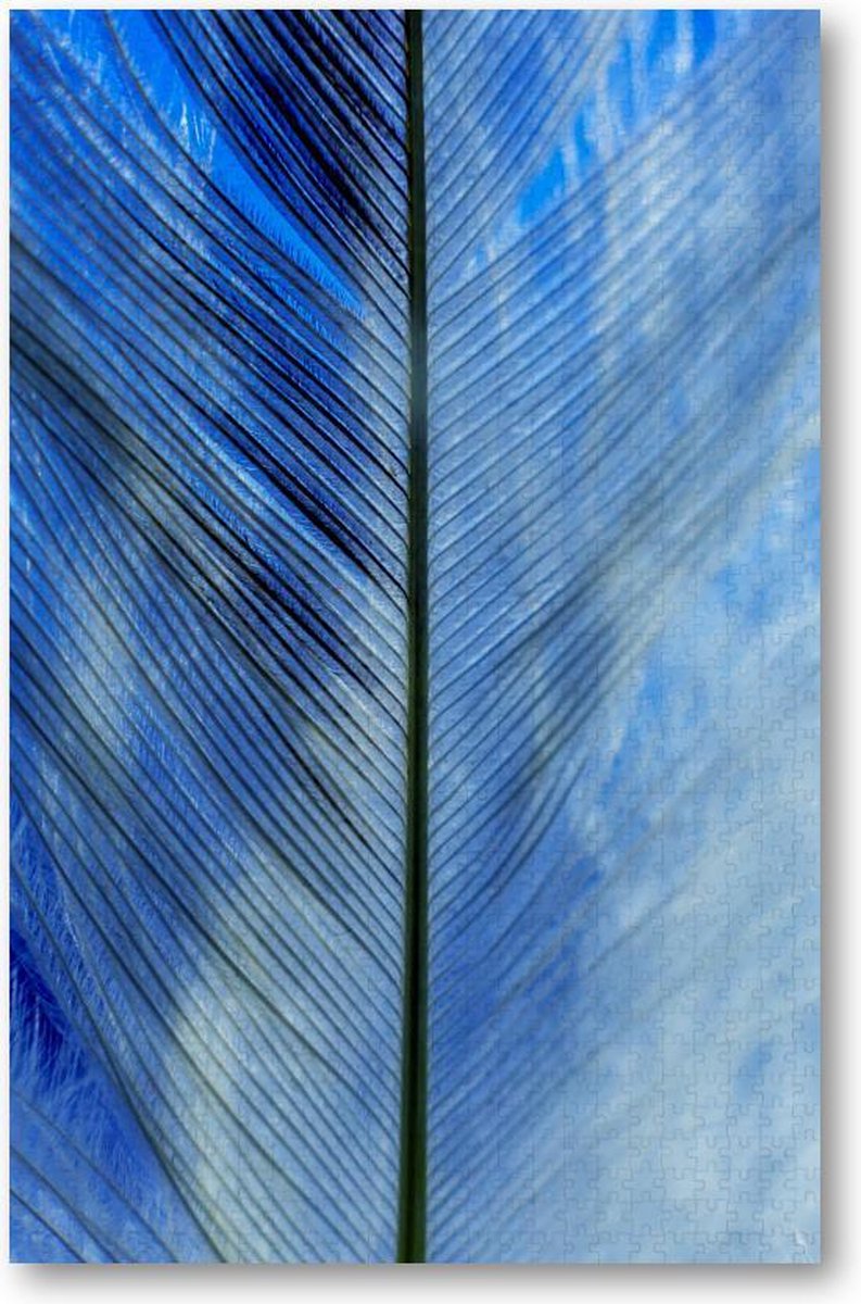 Veren close-up - 1000 Stukjes puzzel voor volwassenen - Besteposter - Dieren - Natuur