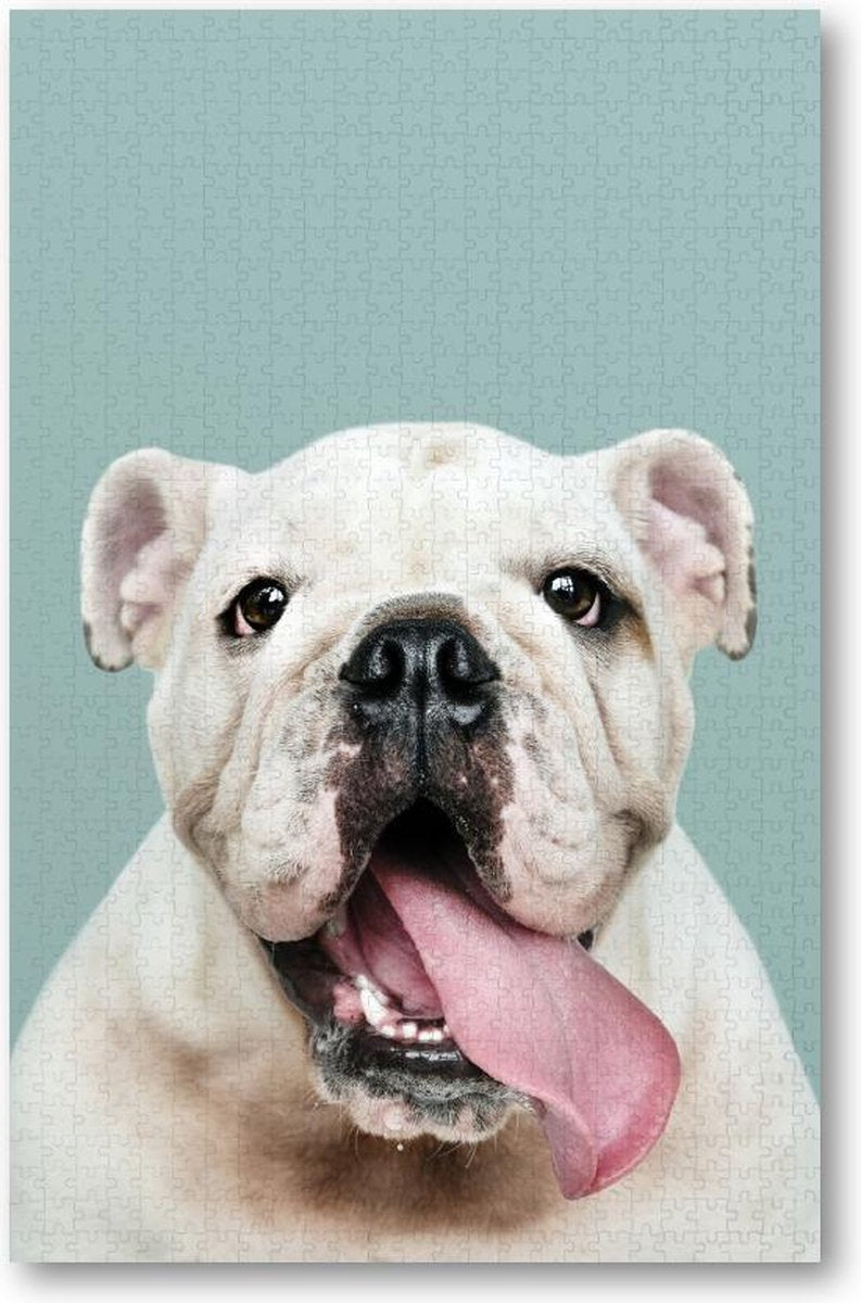 Schattig portret van witte Bulldog Puppy - 1000 Stukjes puzzel voor volwassenen - Besteposter - Dieren