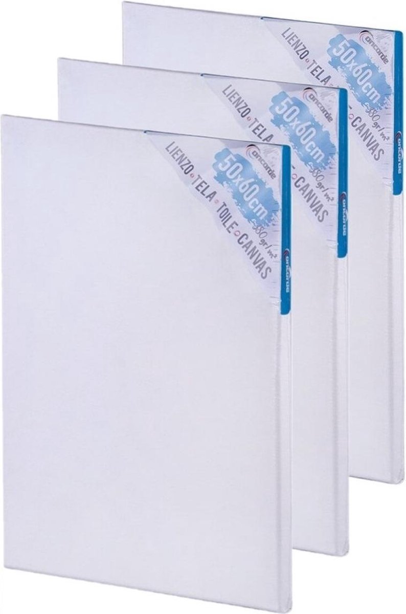 4x stuks canvas schildersdoeken 50 x 60 cm - Diy hobbymaterialen artikelen - Schilderijen maken