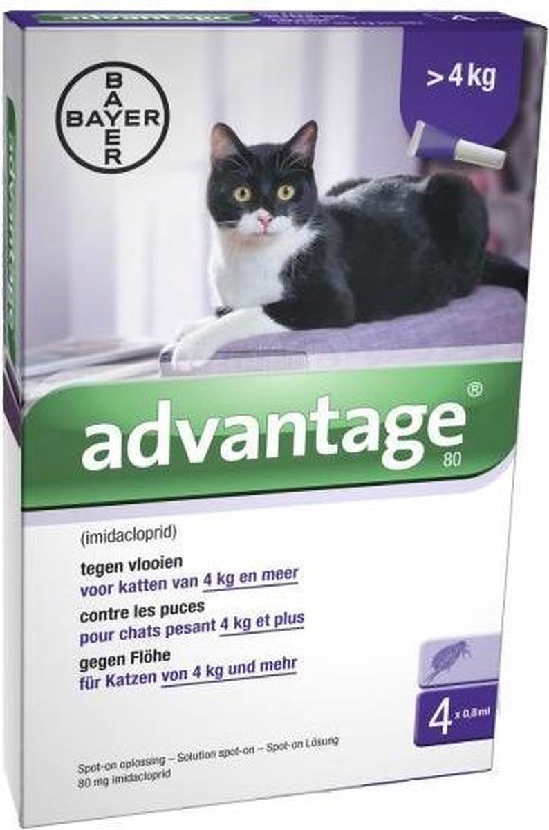 Bayer Advantage Kat 80 > 4 kg - 4 Pipetten