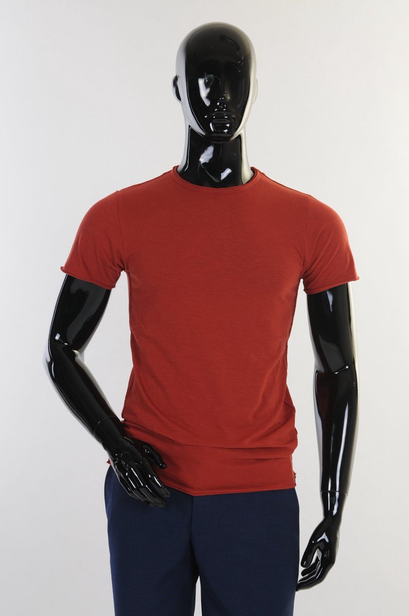 Dstrezzed T-shirt Ronde Hals Stone Rood (202274-SS21 - 410)