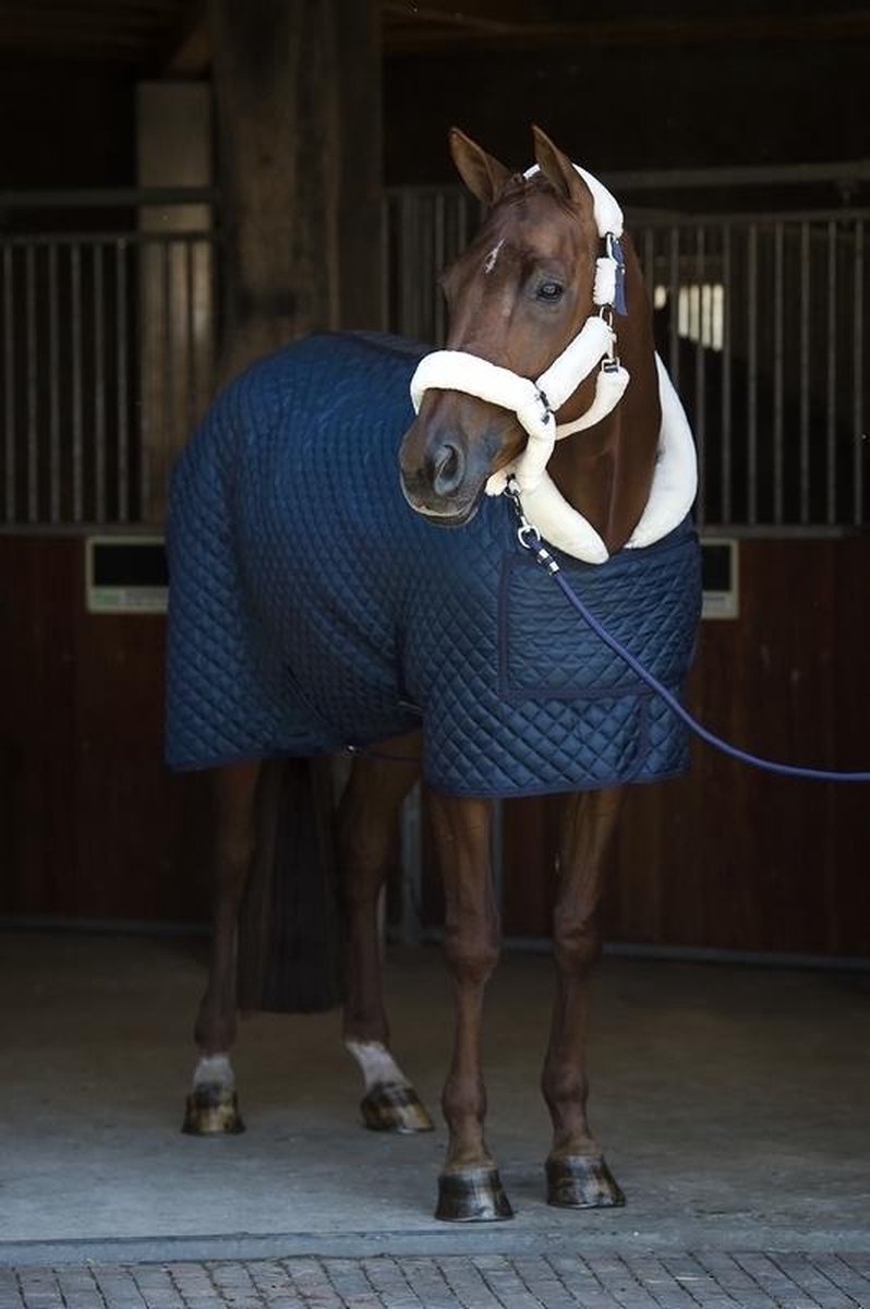 HB Showdeken Steelblue Desire