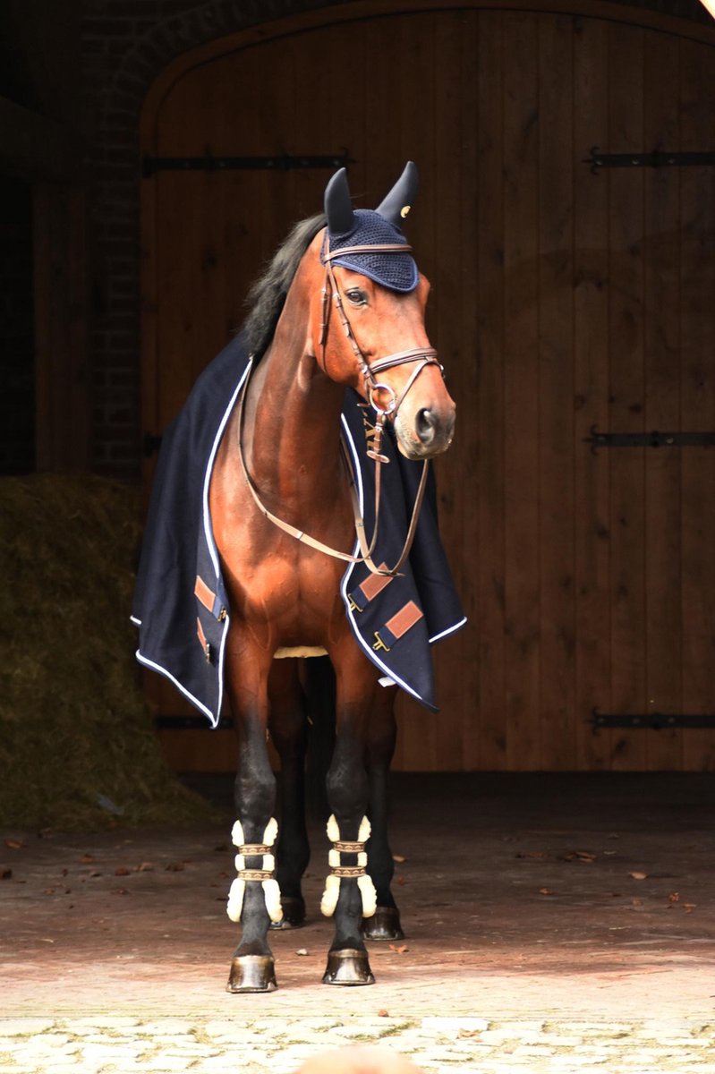 Cavar Neopreen Oornetje Donkerblauw - vliegennetje - neopreen oornetje