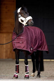 Paardendeken Outdoor Channel Burgundy