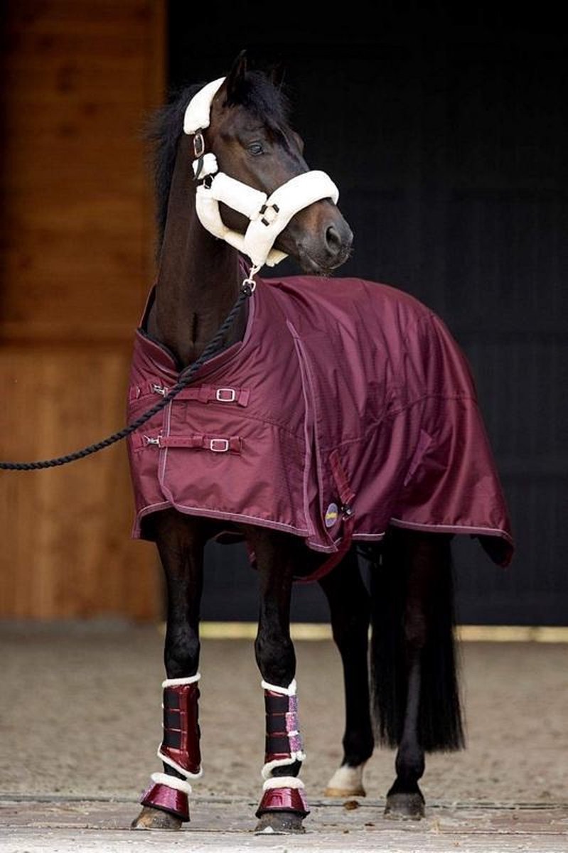 Paardendeken Outdoor Channel Burgundy