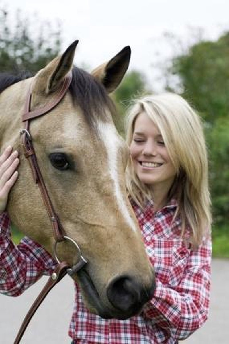 HKM Eenoorkopstuk donkerbruin Pony