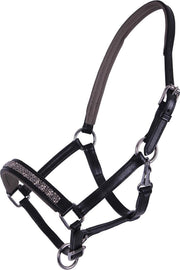 Qhp Veulenhalster  Lupine Leer - Black-grey - pony Veulen