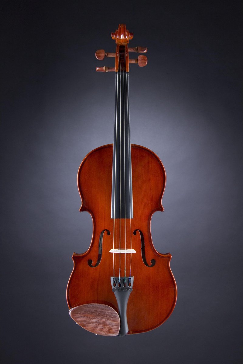 90 - 4/4 Violin Outfit VF002N incl. Case and Bow