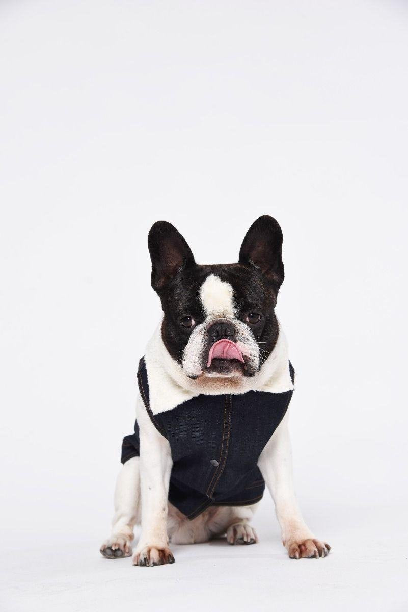 Amsterdenim | FREDDY DOG JACKET - M
