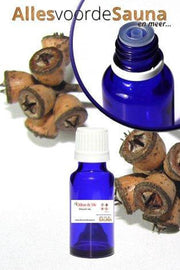 Etherische Olie Eucalyptus