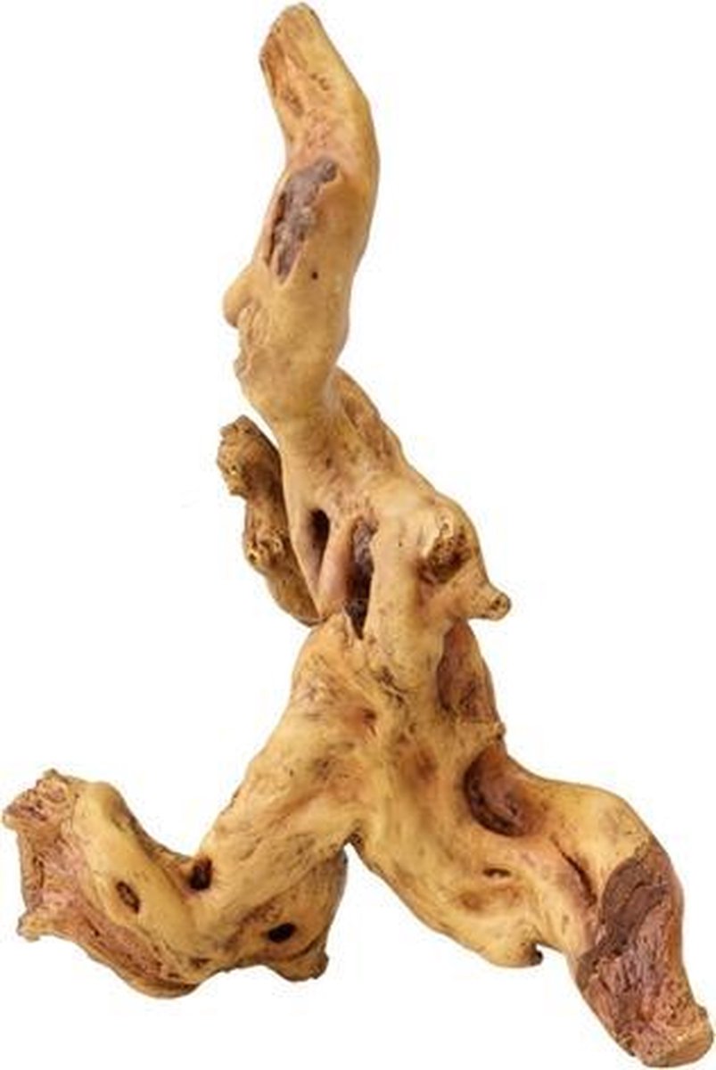 Aqua d'ella - Aquariumhout - Coffee Root 4 - 24x19.5x14 cm - Bruin