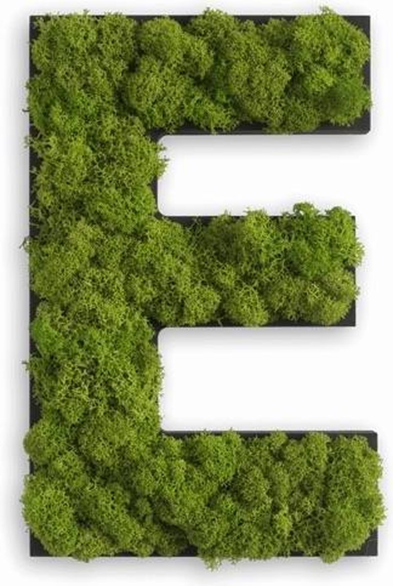 Stylegreen Alfabet letters A t/m Z - Reindeer moss - 25cm