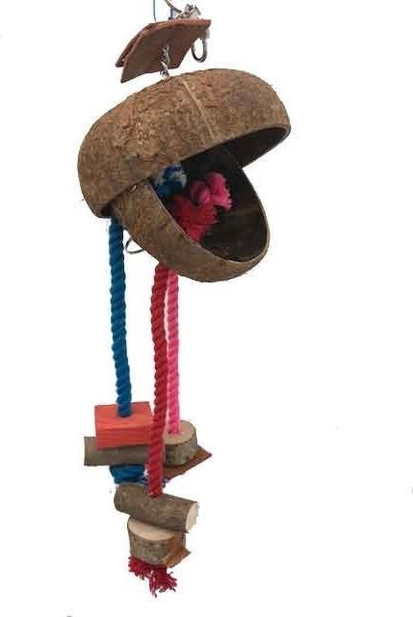 Coconut treat holder