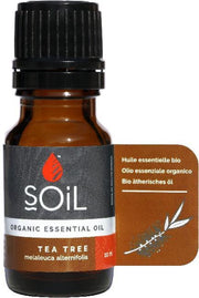 Soil Biologische Etherische Tea Tree Olie -10 Ml - Organic Melaleuca Alternifolia - Acne - Schimmelnagels