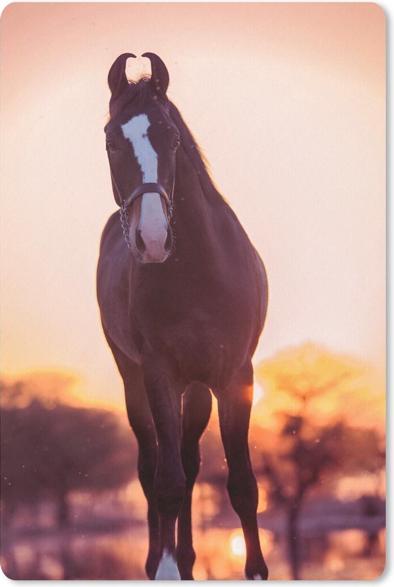 Muismat - Mousepad - Marwar - zonsondergang - Paarden - 40x60 cm