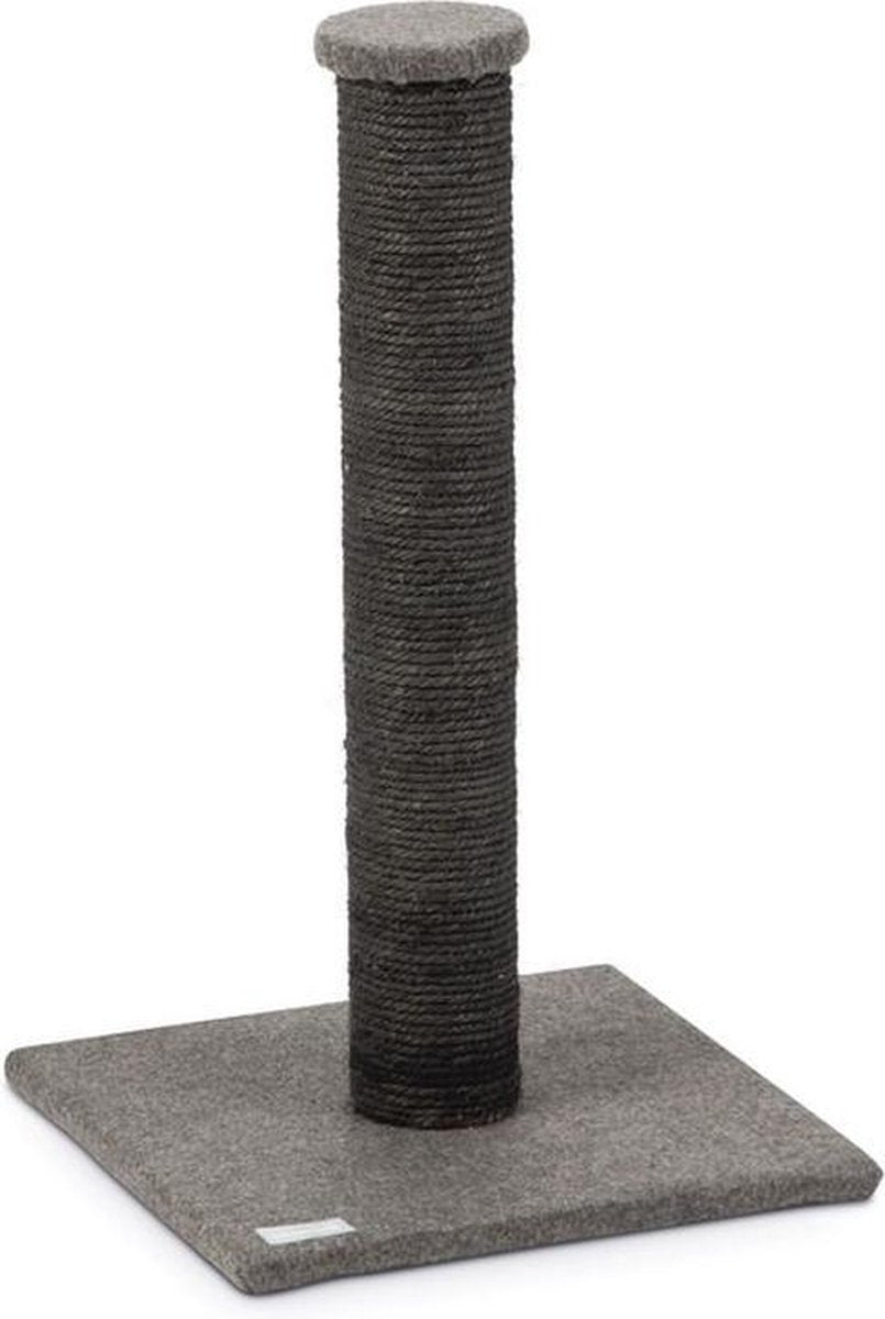 Scratching tree  gina felt