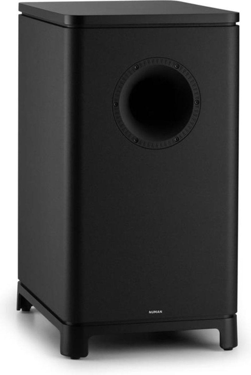 UniSUB actieve subwoofer 25 cm (10") wit grijs