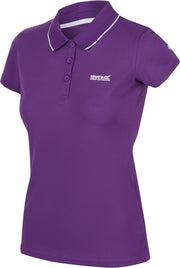 Regatta - Maverick V Dames Poloshirt - Purple - Maat 40