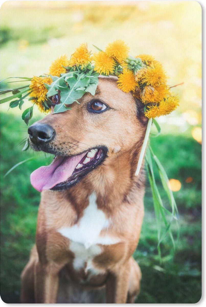 Muismat - Mousepad - Hond - Gras - Geel - 40x60 cm