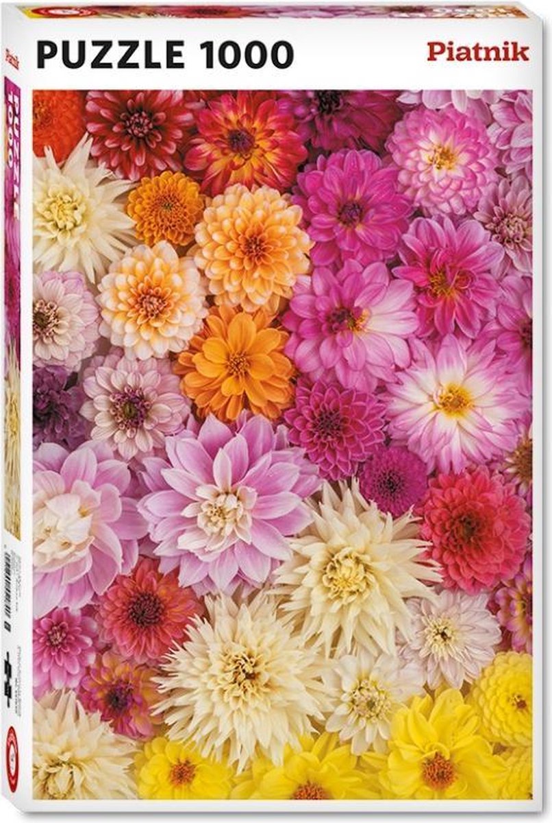 Dahlias  (1000 stukjes
