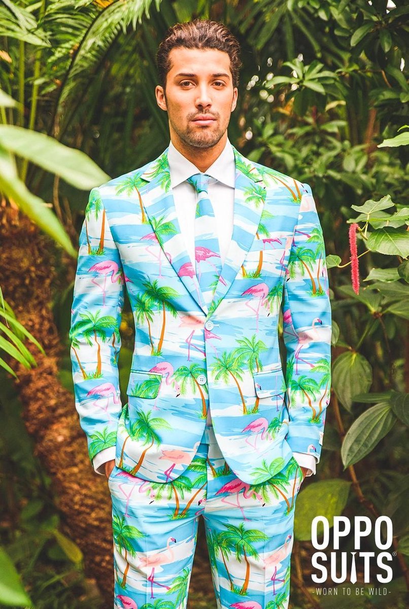 OppoSuits Flaminguy - Mannen Zomer Kostuum - Gekleurd - Carnaval - Maat 60