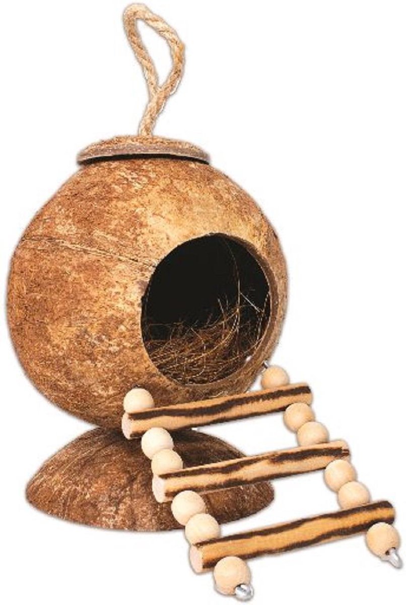 Coconut  met ladder