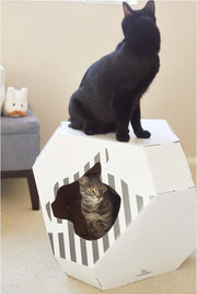 myKotty MIA kattenhuis