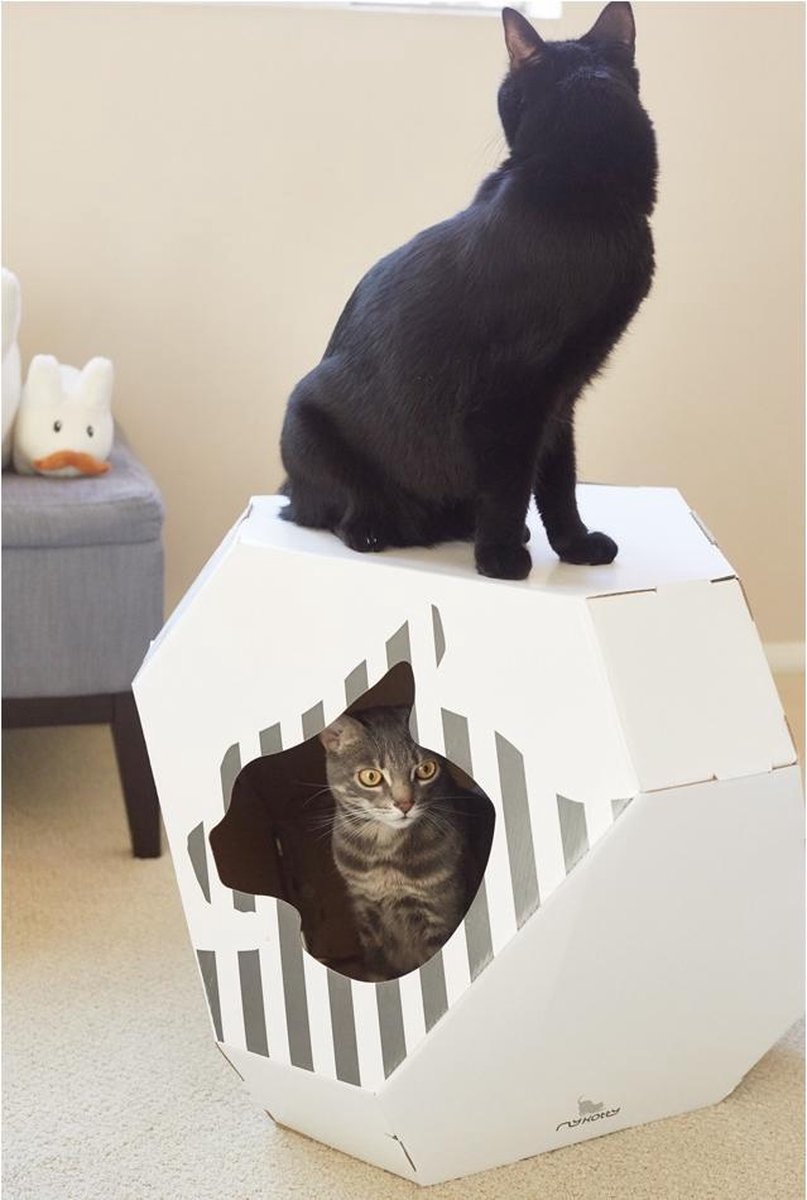 myKotty MIA kattenhuis