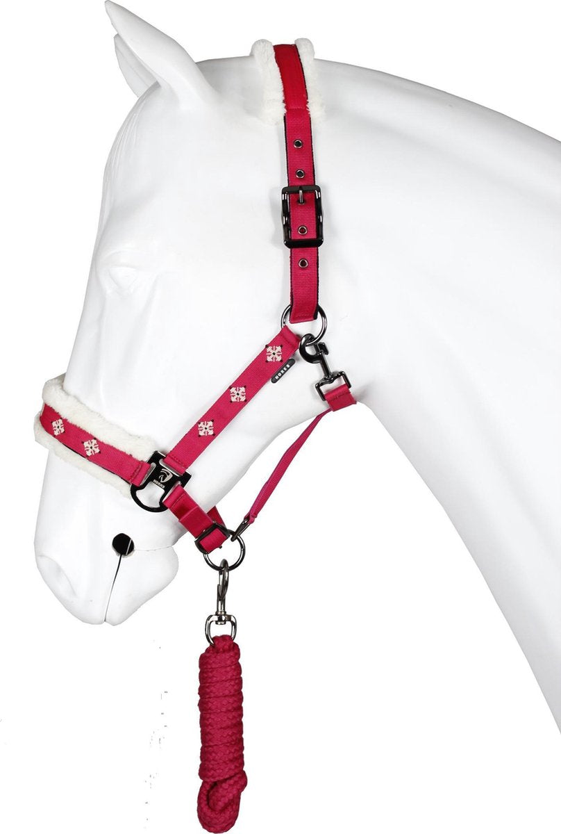 Halsterset Nordic maat COB