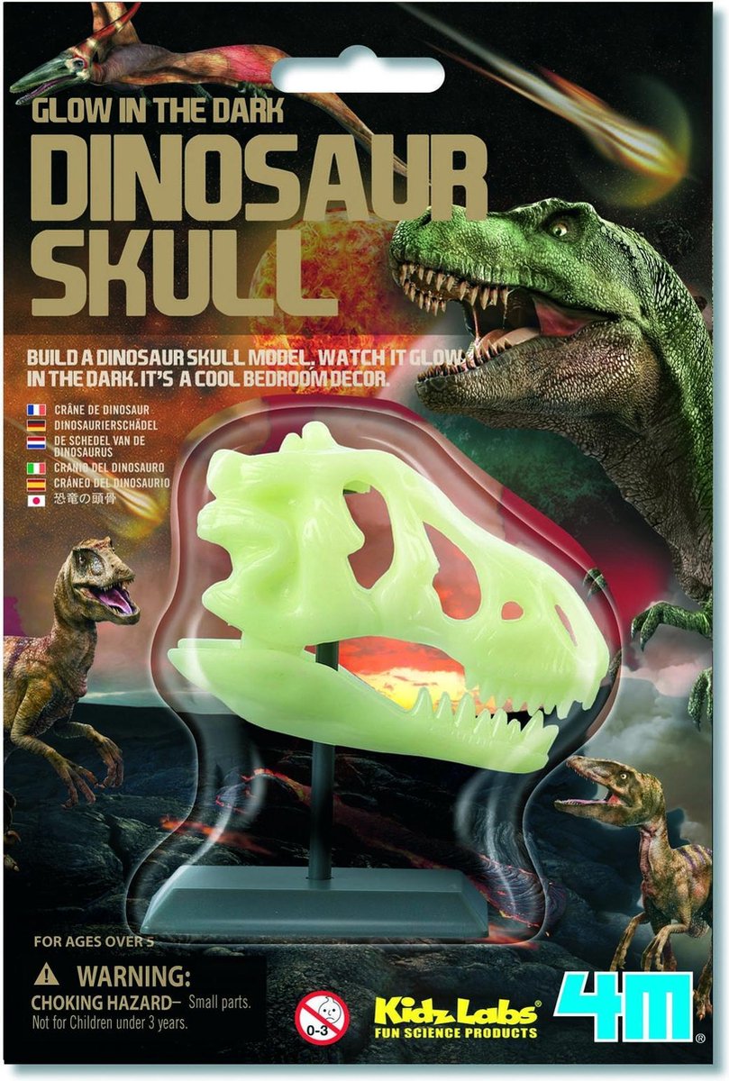 4M KidzLabs Science Card - Dinosaur Skull Glow-in-the-Dark - Hobbyset