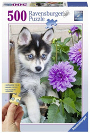 XL-legpuzzel  Schattige Husky met 500 extra grote puzzelstukken