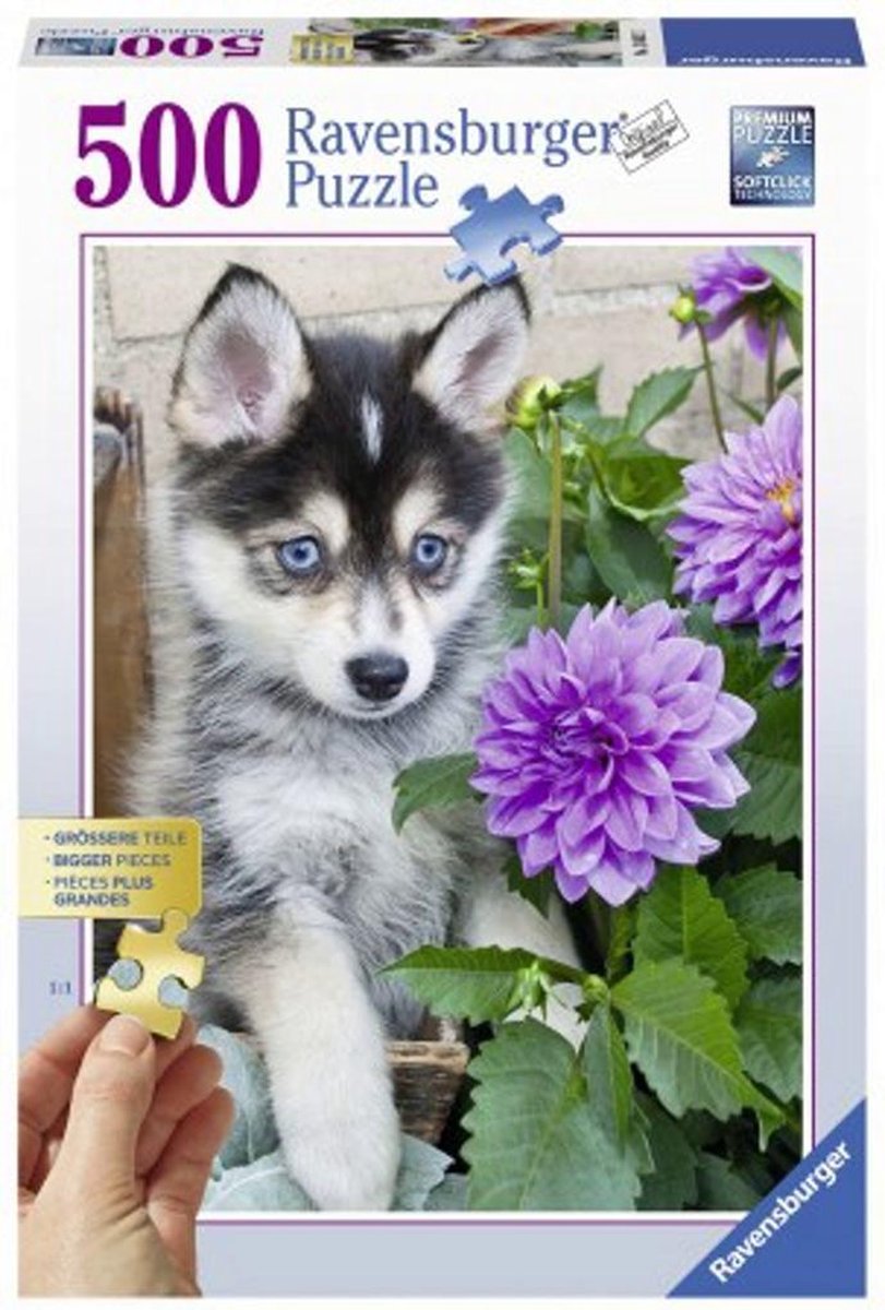 XL-legpuzzel  Schattige Husky met 500 extra grote puzzelstukken