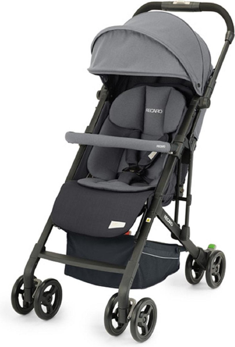 Recaro Easylife Elite 2 buggy Prime Silent Grey