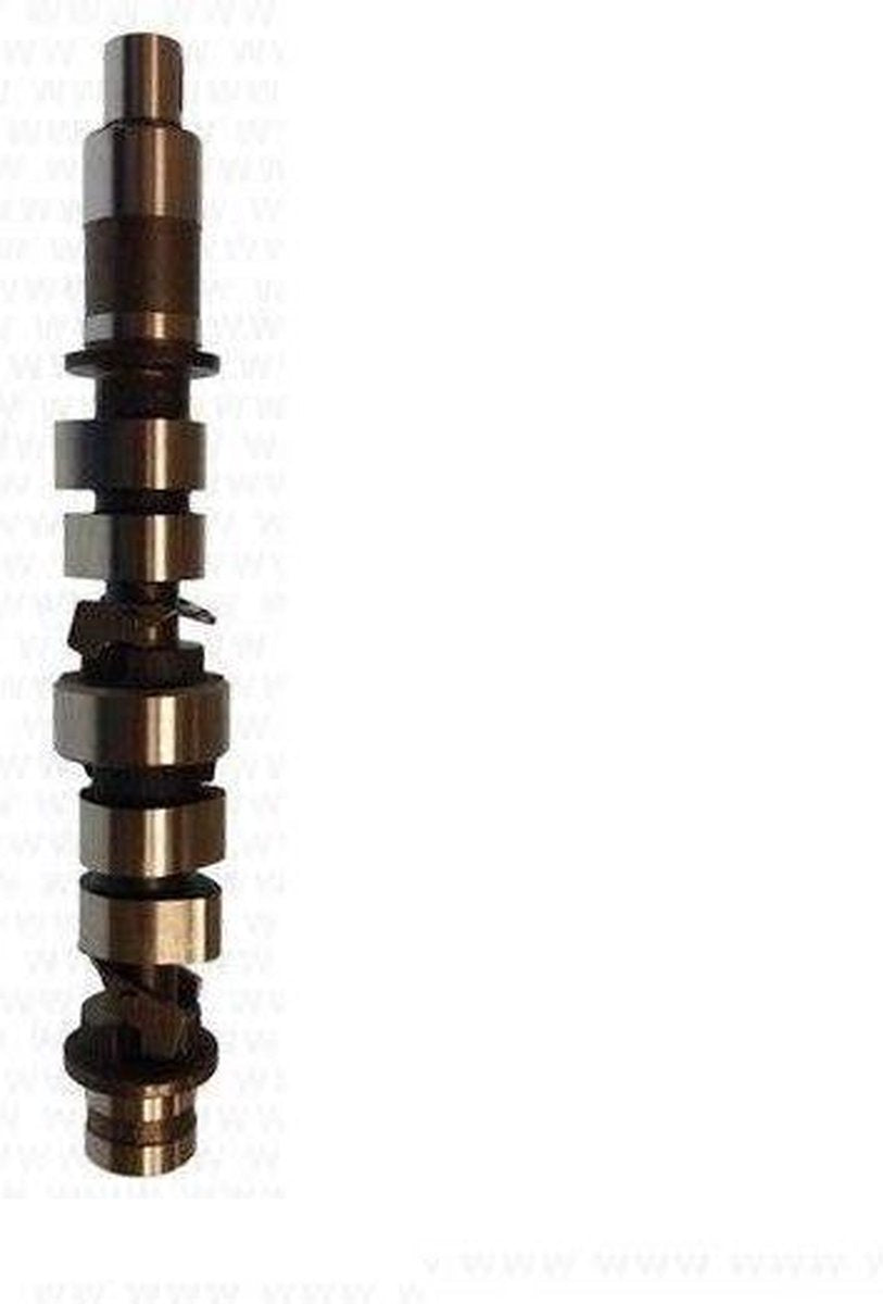 Aftermarket (Parsun) Camshaft Assembly (PAF20-05030200)
