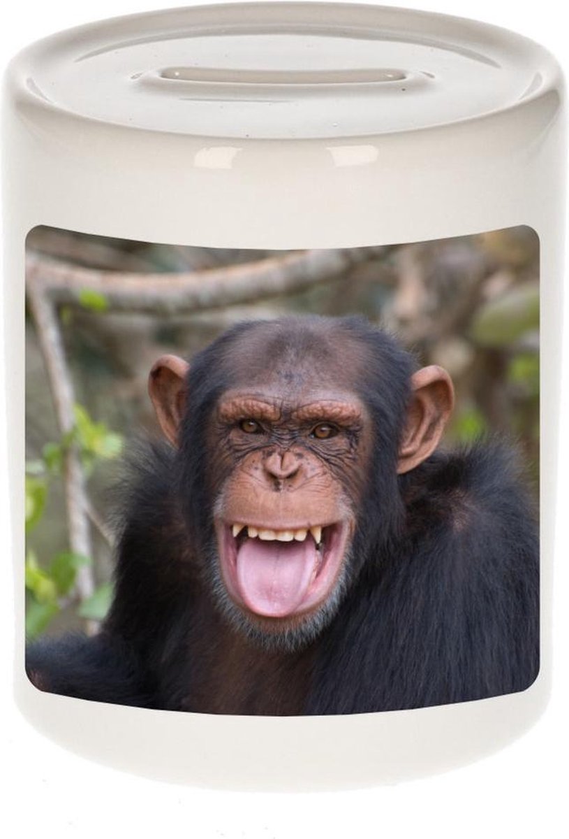 Dieren chimpansee foto spaarpot 9 cm jongens en meisjes - Cadeau spaarpotten apen liefhebber