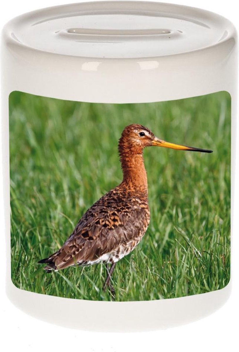 Dieren grutto vogel foto spaarpot 9 cm jongens en meisjes - Cadeau spaarpotten grutto vogel vogels liefhebber
