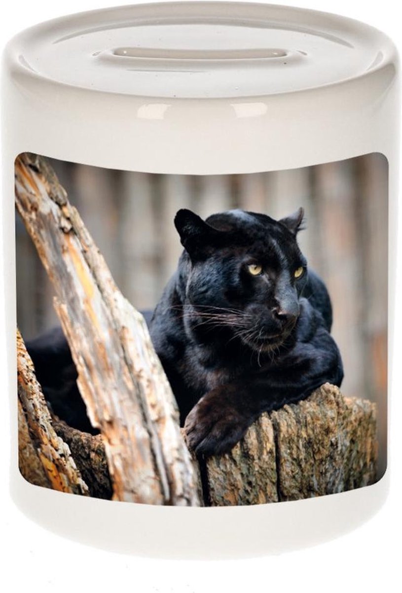 Dieren zwarte panter foto spaarpot 9 cm jongens en meisjes - Cadeau spaarpotten zwarte panter panters liefhebber