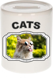 Dieren liefhebber gekke poes spaarpot  9 cm jongens en meisjes - keramiek - Cadeau spaarpotten katten liefhebber