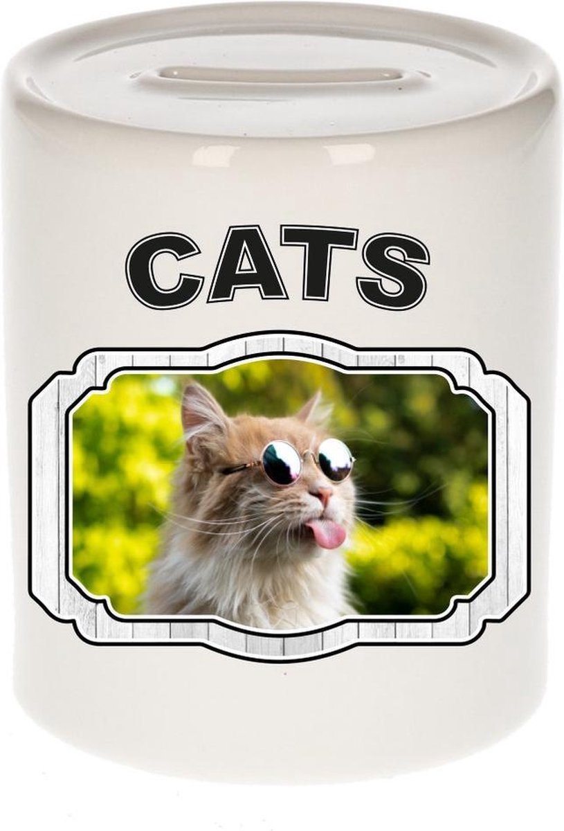 Dieren liefhebber gekke poes spaarpot  9 cm jongens en meisjes - keramiek - Cadeau spaarpotten katten liefhebber