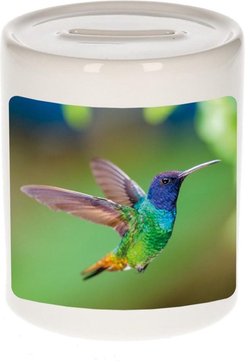Dieren kolibrie vogel foto spaarpot 9 cm jongens en meisjes - Cadeau spaarpotten kolibrie vogel vogels liefhebber