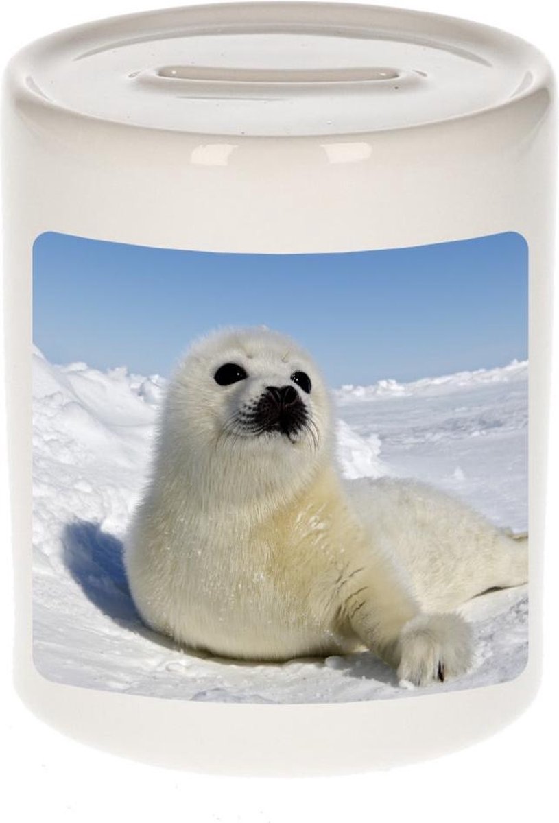 Dieren zeehond foto spaarpot 9 cm jongens en meisjes - Cadeau spaarpotten zeehonden liefhebber