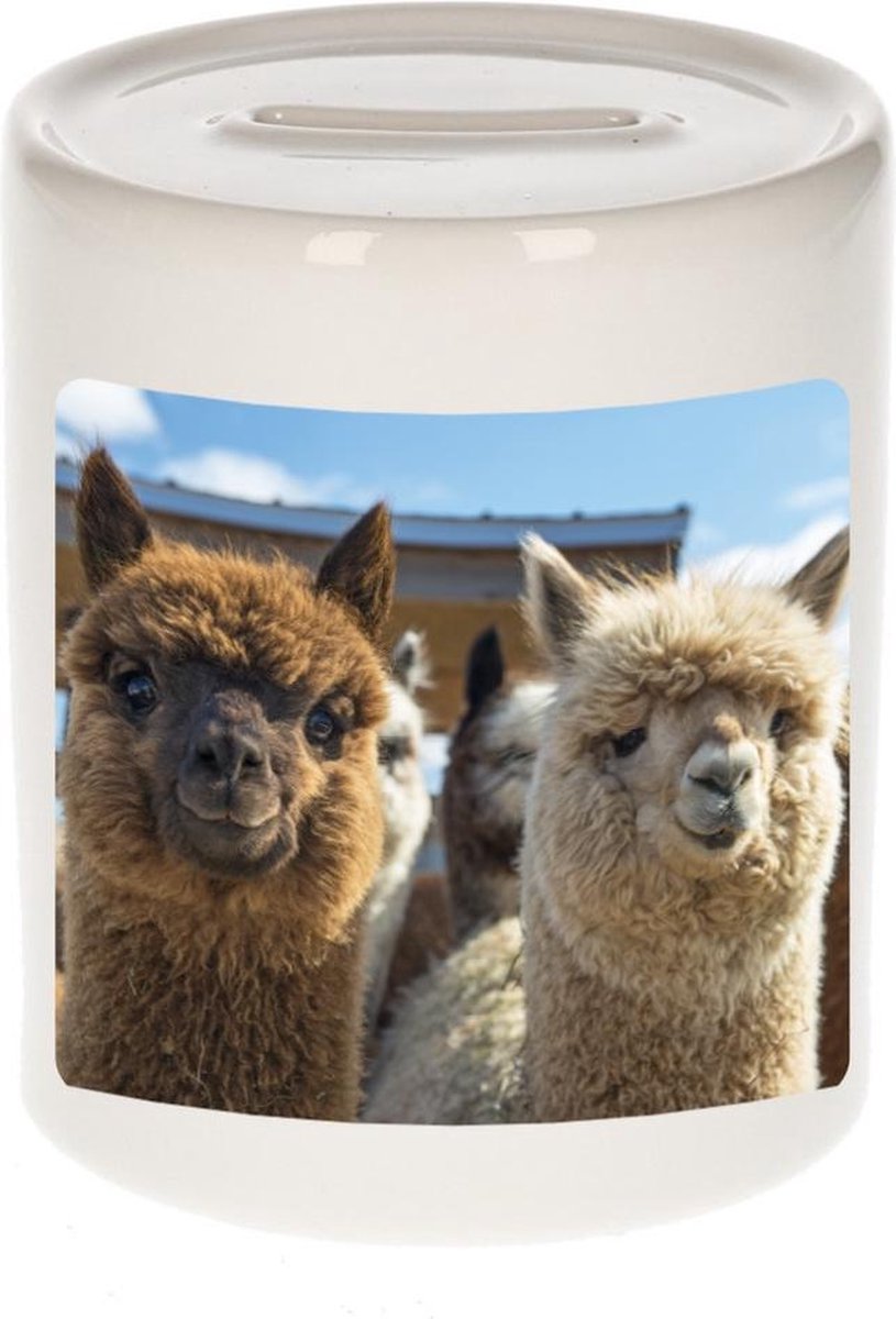Dieren alpaca foto spaarpot 9 cm jongens en meisjes - Cadeau spaarpotten alpacas liefhebber